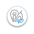 mod01 -icon FoodEnvironmental